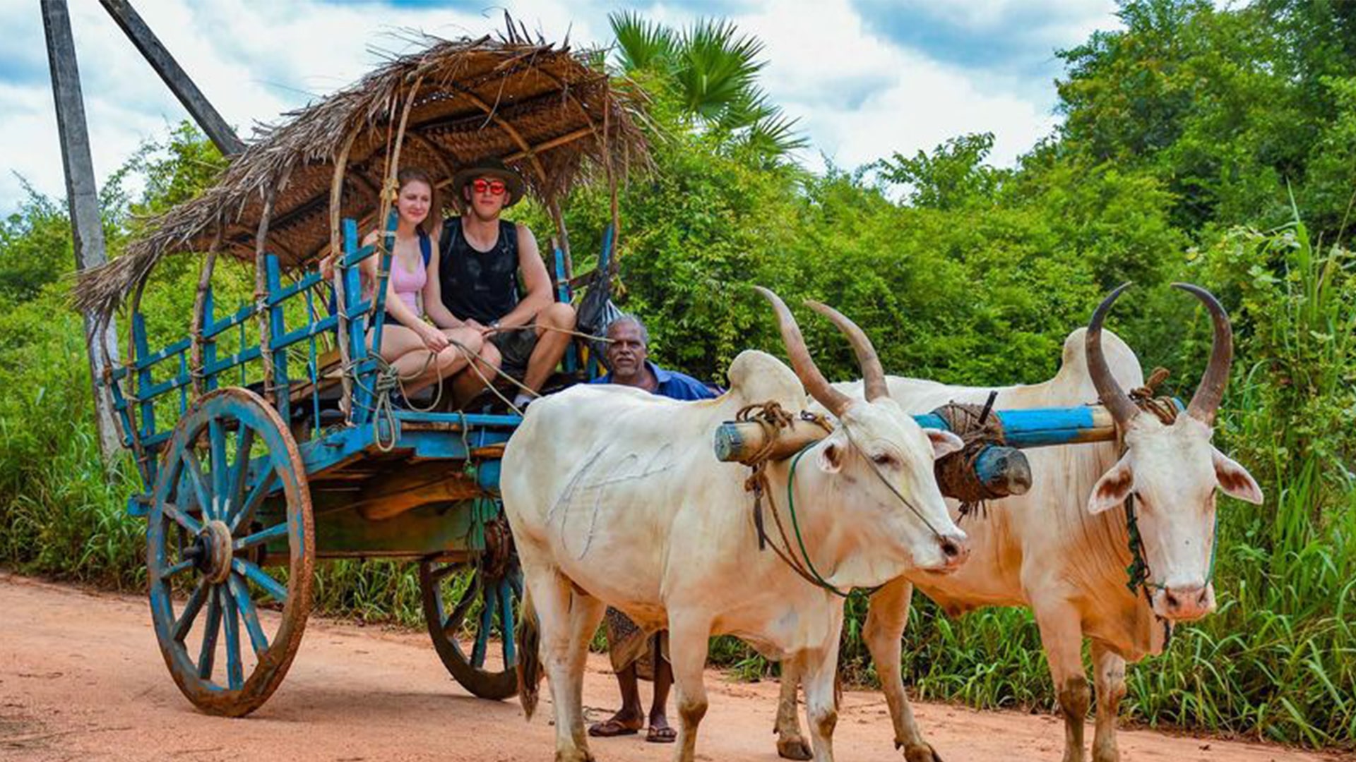 Traditional bullock cart in Habarana