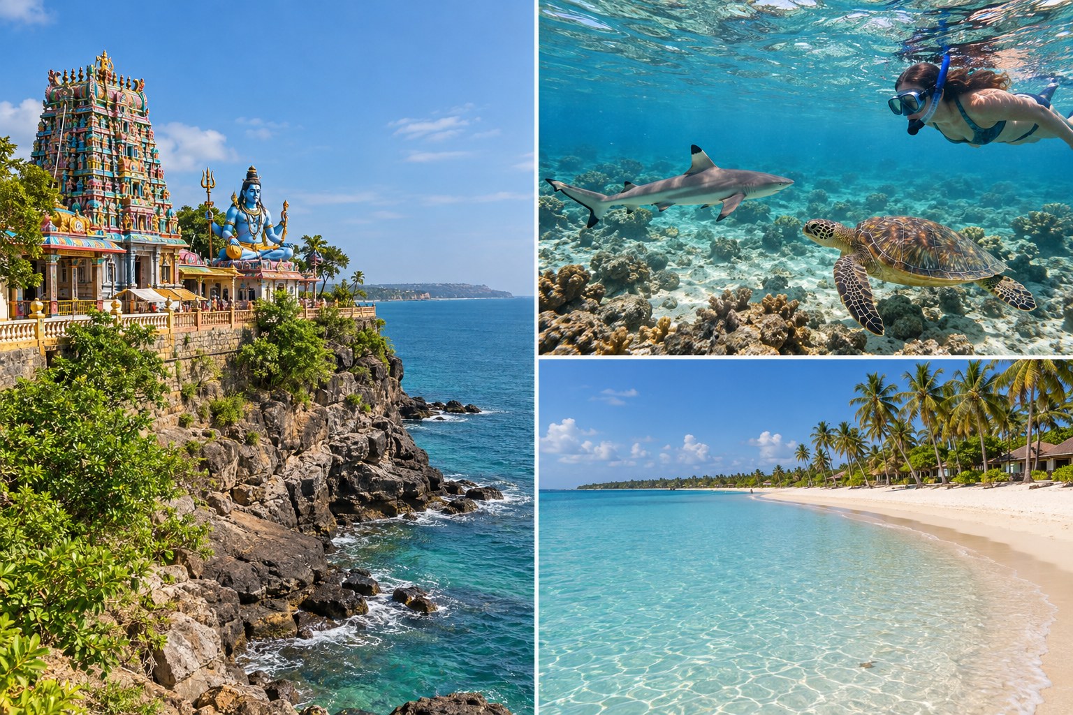 Koneswaram Temple · Snorkelling with reef sharks and turtles · Pasikuda Beach
