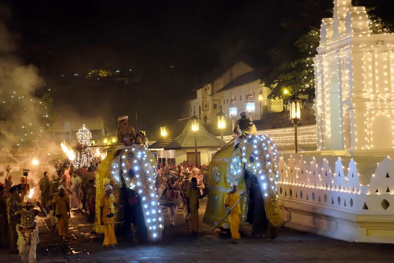 Illuminated elephants in the colourful Kandy Perahera night procession